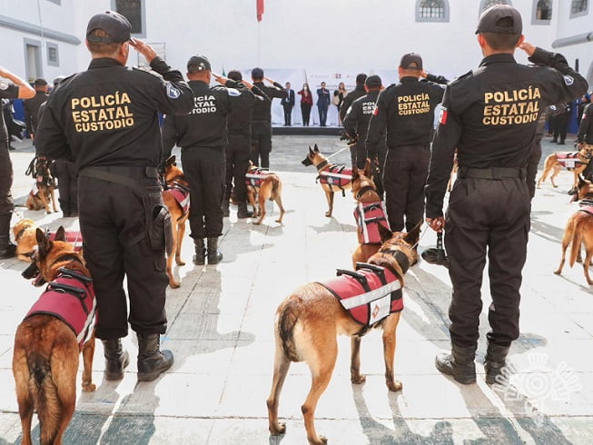 Con binomios caninos, SSP refuerza vigilancia en centros penitenciarios