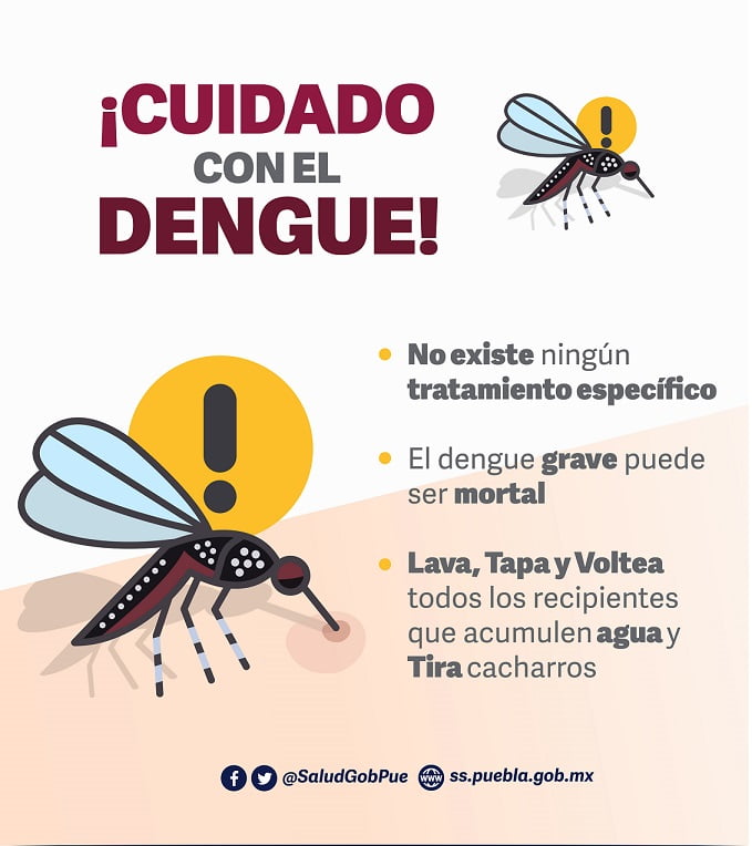 Confirma Secretaría de Salud solo 77 casos de dengue en el estado