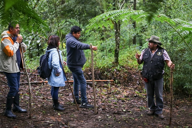 Promueve Turismo “Ruta del Café” entre turoperadores