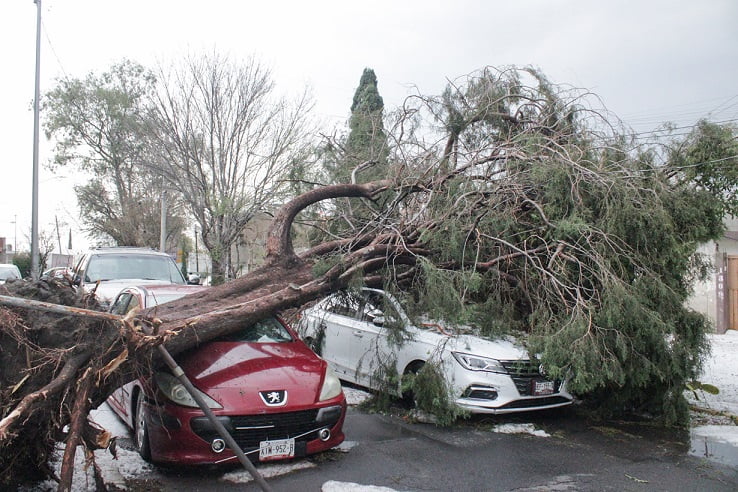 Fuertes lluvias en Puebla dejan encharcamientos, fallas de energía eléctrica, caída de árboles y daños en varios vehículos