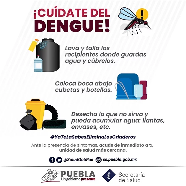 Registra Puebla 12 nuevos contagios de dengue en las últimas 24 horas