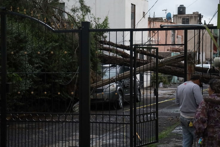 Fuerte lluvia provoca la caída de árboles al norte de la ciudad de Puebla
