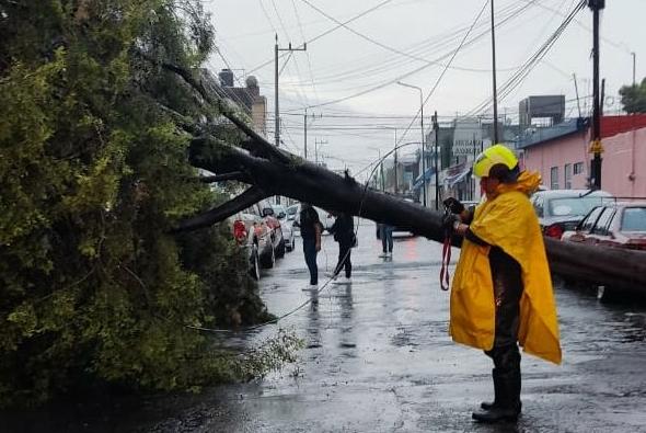 Fuerte lluvia con granizo provoca caída  de árboles y colapso de drenaje en Puebla capital