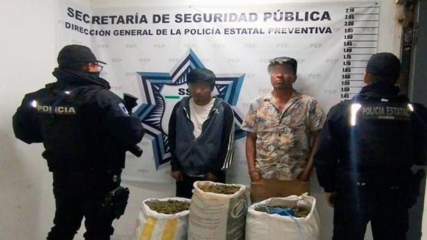 Detiene SSP a dos hombres en posesión de 36 kilos de marihuana