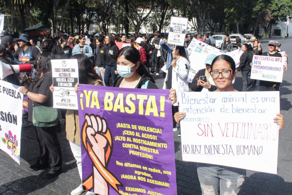 Marchan veterinarios en Puebla para exigir dignificación de su profesión
