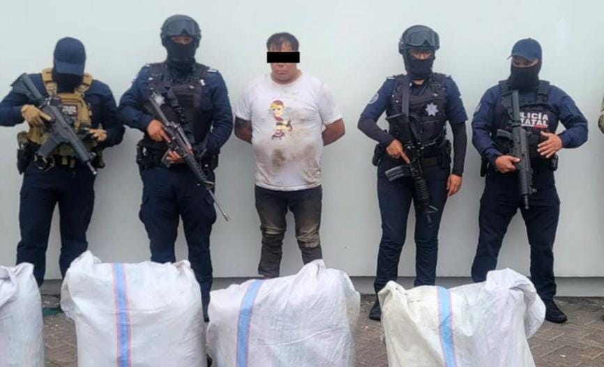 Mediante coordinación interinstitucional, fueron asegurados 65 kilogramos de marihuana