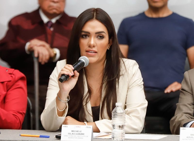 Gobierno de Armenta fortalece protección animal con visión humanista y bioética