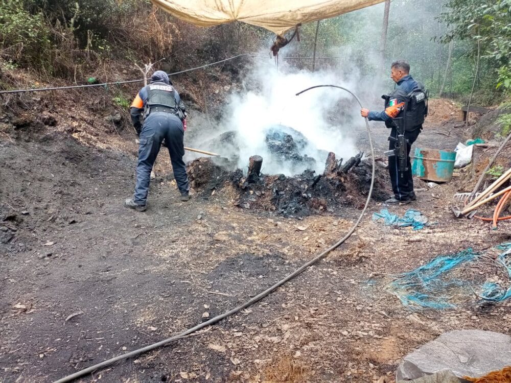 Policía Estatal Forestal inhabilita 9 hornos utilizados para deshidratación ilegal de maderera