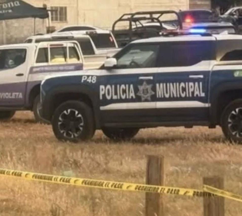 Ataque armado en carrera de caballos deja 7 muertos y heridos en Chihuahua