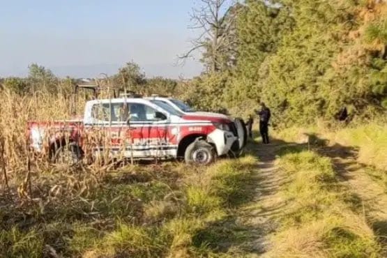 Hallan seis cuerpos en Nopalucan, zona limítrofe entre Puebla y Tlaxcala