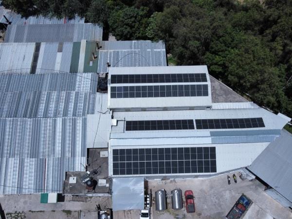 Incentivos Verdes: inversión, energía limpia y fortalecimiento de las MiPyMEs poblanas