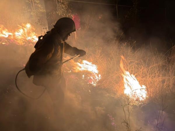 Gobierno de Puebla ha liquidado 88 incendios forestales