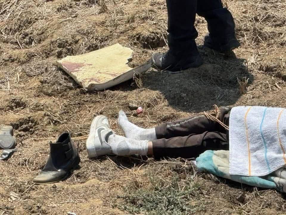 Tragedia en la autopista del Sol: Volcadura deja cinco fallecidos y ocho lesionados