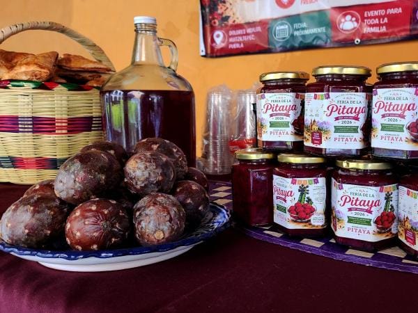 Promueve Turismo “Feria de la Pitaya y Pitahaya” de Huitziltepec