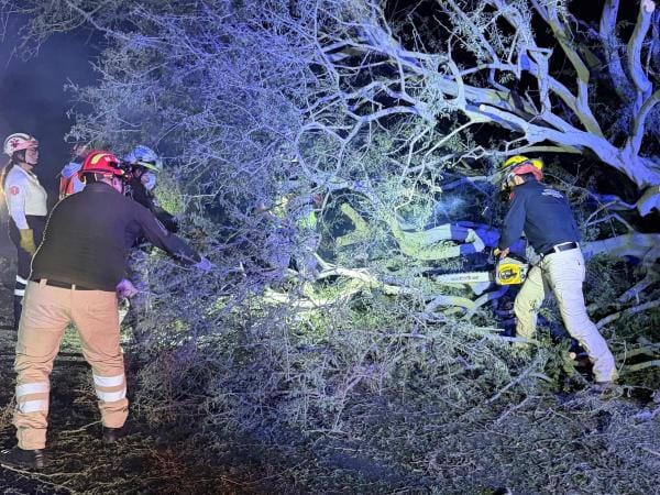 Personal de PC atiende daños por lluvias