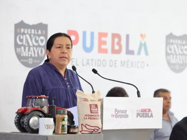 Puebla intensifica combate al gusano barrenador con vigilancia, capacitación y prevención