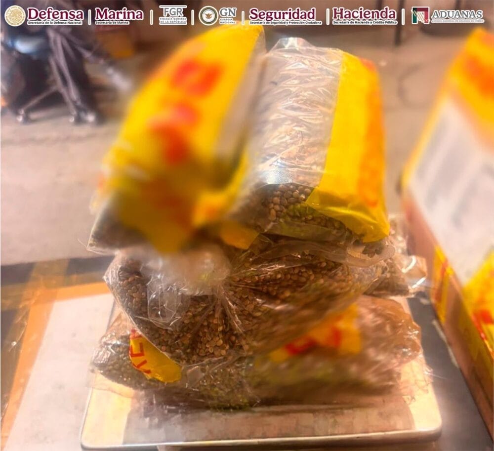 ANAM y Autoridades Federales aseguraron más de 2.5 kilos de semillas de cannabis en la Aduana de Guadalajara
