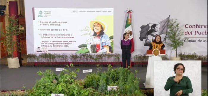 Desde Puebla, la presidenta Claudia Sheinbaum arrancará  la Jornada Nacional de Reforestación