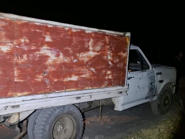 Recupera Policía Estatal 165 ejemplares de oyamel