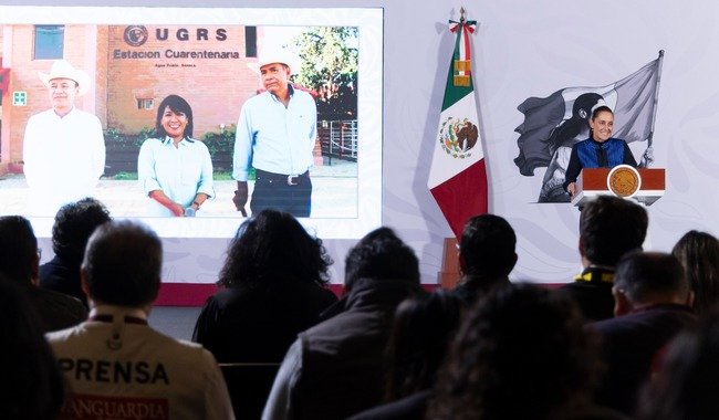 Presidenta Sheinbaum anuncia reanudación de la exportación de ganado a EE. UU. desde Sonora