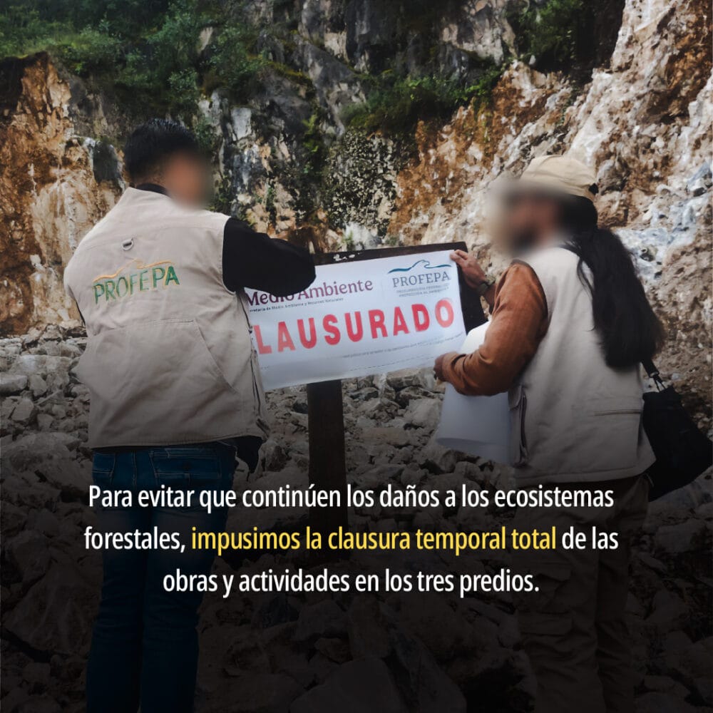 Profepa frena actividades ilegales que afectan bosques y áreas naturales protegidas, en Hidalgo