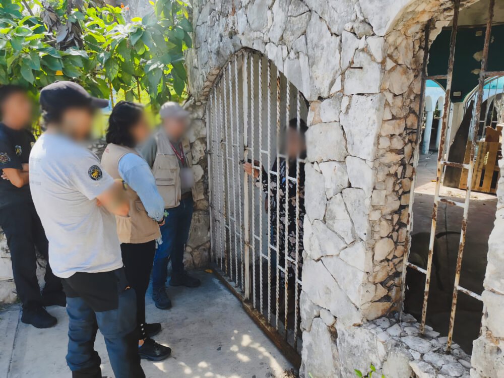 Profepa visita inmuebles de Cancún con supuesta presencia de felinos