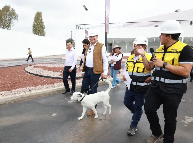 Gobierno del Estado alcanza 88 por ciento de avance en Célula del Bienestar Animal 