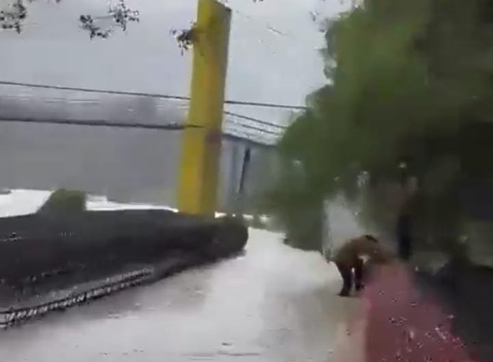 Emergencia en Hidalgo: Alerta roja por lluvias dejan una persona sin vida y miles de incomunicados