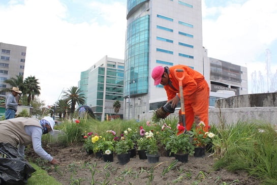 Con visión ambiental el Ayuntamiento de Puebla remodela Avenida Juárez