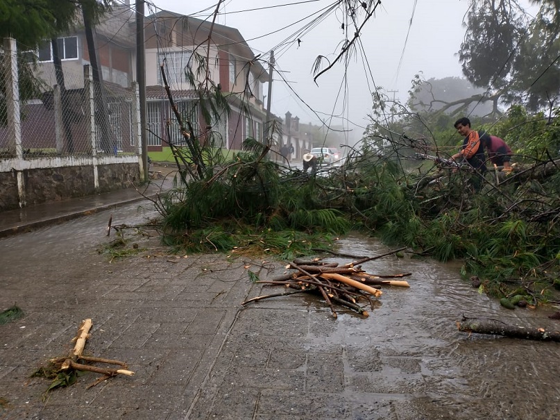 Damnificados por el huracán Grace en Veracruz, Hidalgo y Puebla recibirán 35 mil pesos: AMLO