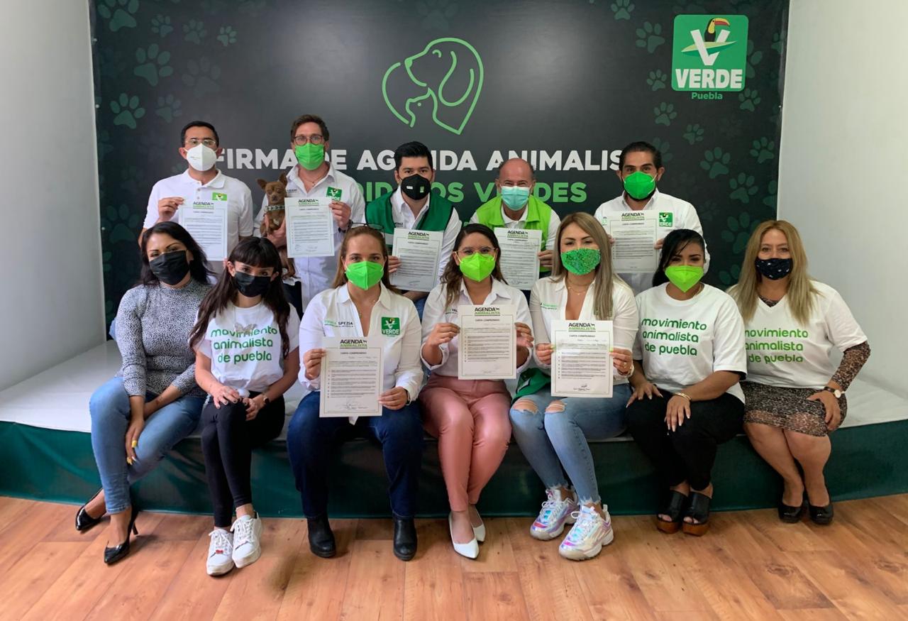 Partido Verde firma agenda animalista con sociedad civil. El Capi y los 7 candidatos a las diputaciones del verde firmaron agenda a favor de los animales.